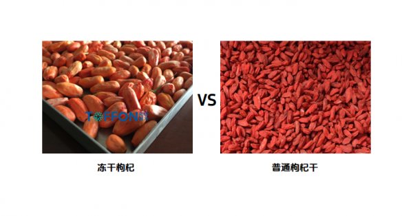 凍干寧夏枸杞，保留營養和鮮紅